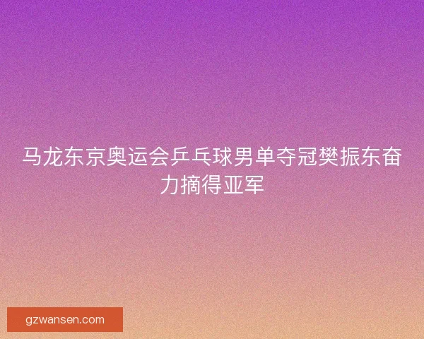 马龙东京奥运会乒乓球男单夺冠樊振东奋力摘得亚军